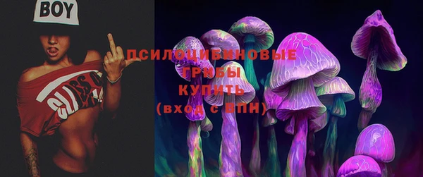 дмт Алексеевка