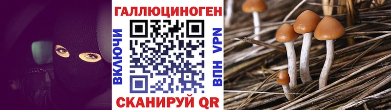 Псилоцибиновые грибы ЛСД  Бежецк 